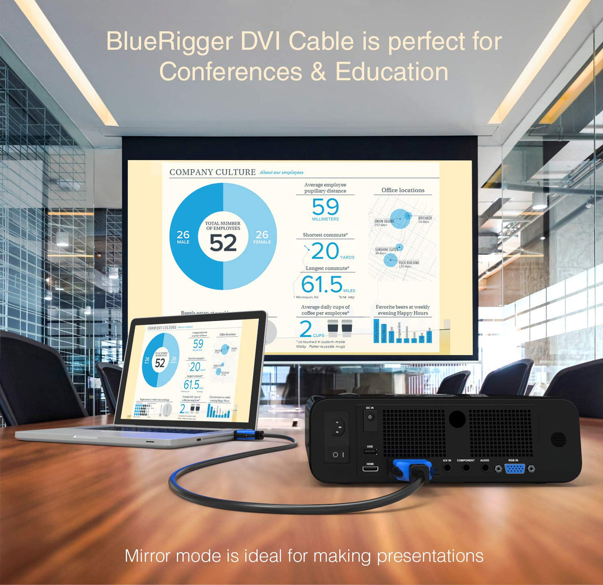 DVI to DVI Cable 25FT (DVI-D Cable, Gold Plated)